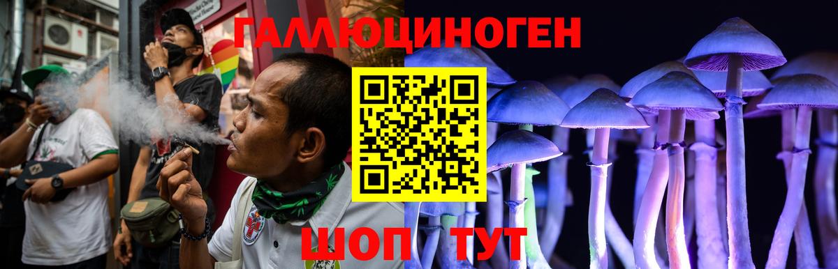 Тверь  Галлюциногенные грибы Cubensis  Вход с VPN 